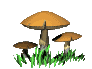 seene animeeritud-pildid-gif